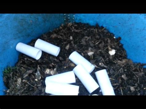 Can You Compost Toilet Paper Rolls? And Why Do They Make Great Seed Starters?