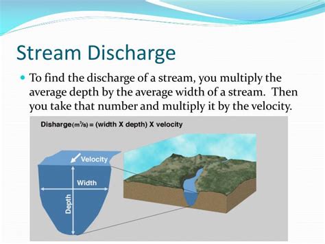 Meaning of Stream in Education: A River of Knowledge or a Trickle of Tradition?