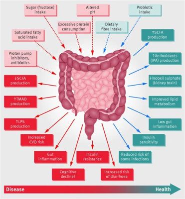 What is Bowel Training: A Journey Through the Gut's Symphony